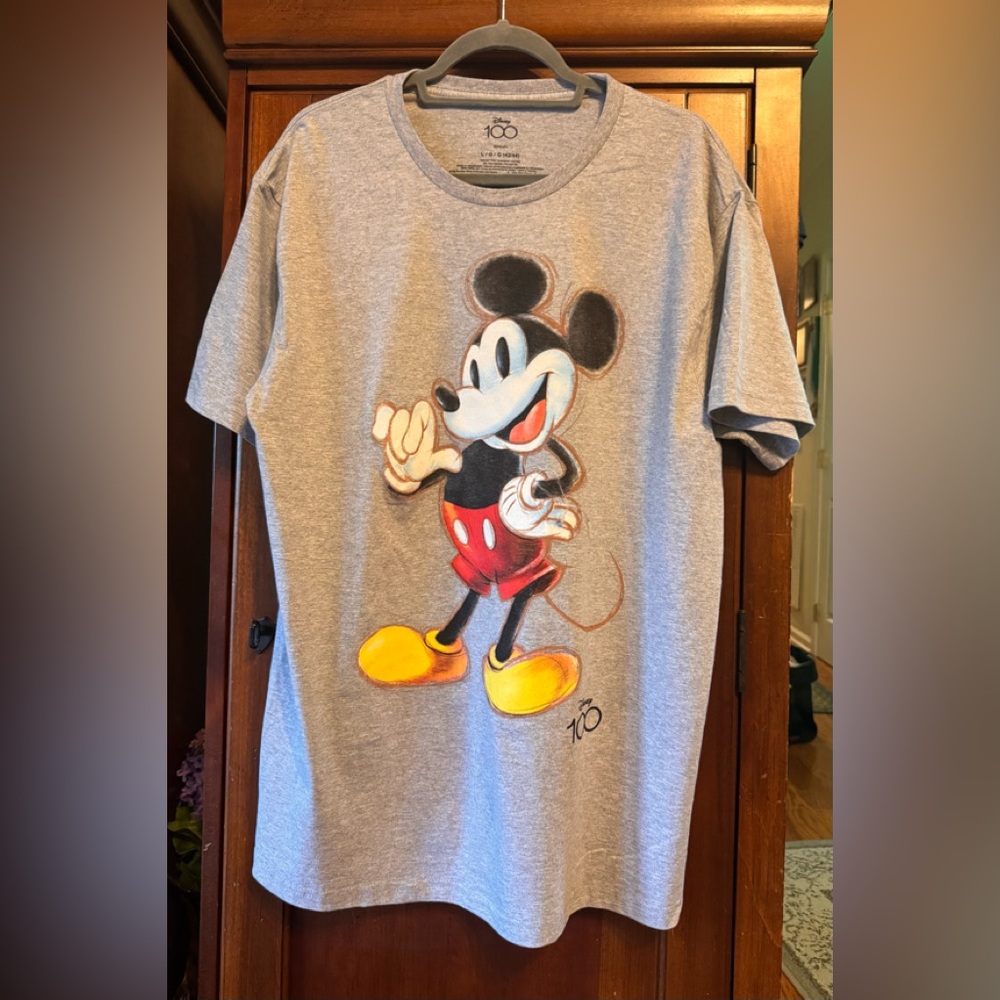 Disney 100th Anniversary Gray Sweatshirt